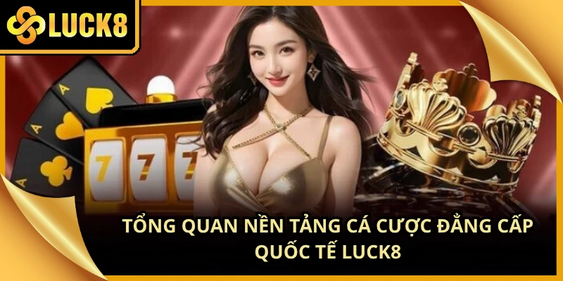 Giao diện nền tảng cá cược hiện đại mang lại cảm giác giải trí ấn tượng
